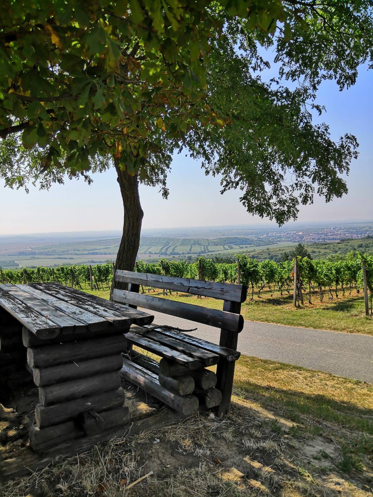 KÉŽ LAVIČKO, KÉŽ BYS PROMLUVILA