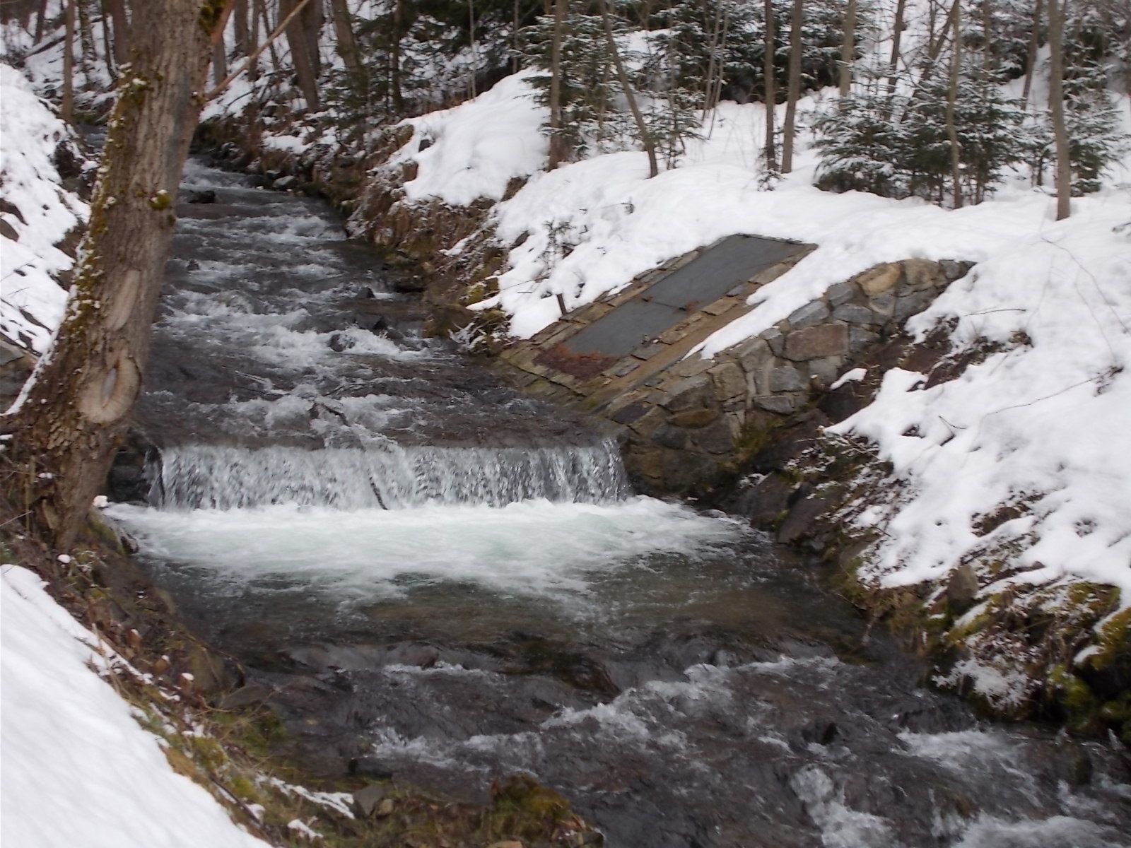 na Kvildu-Krušné hory