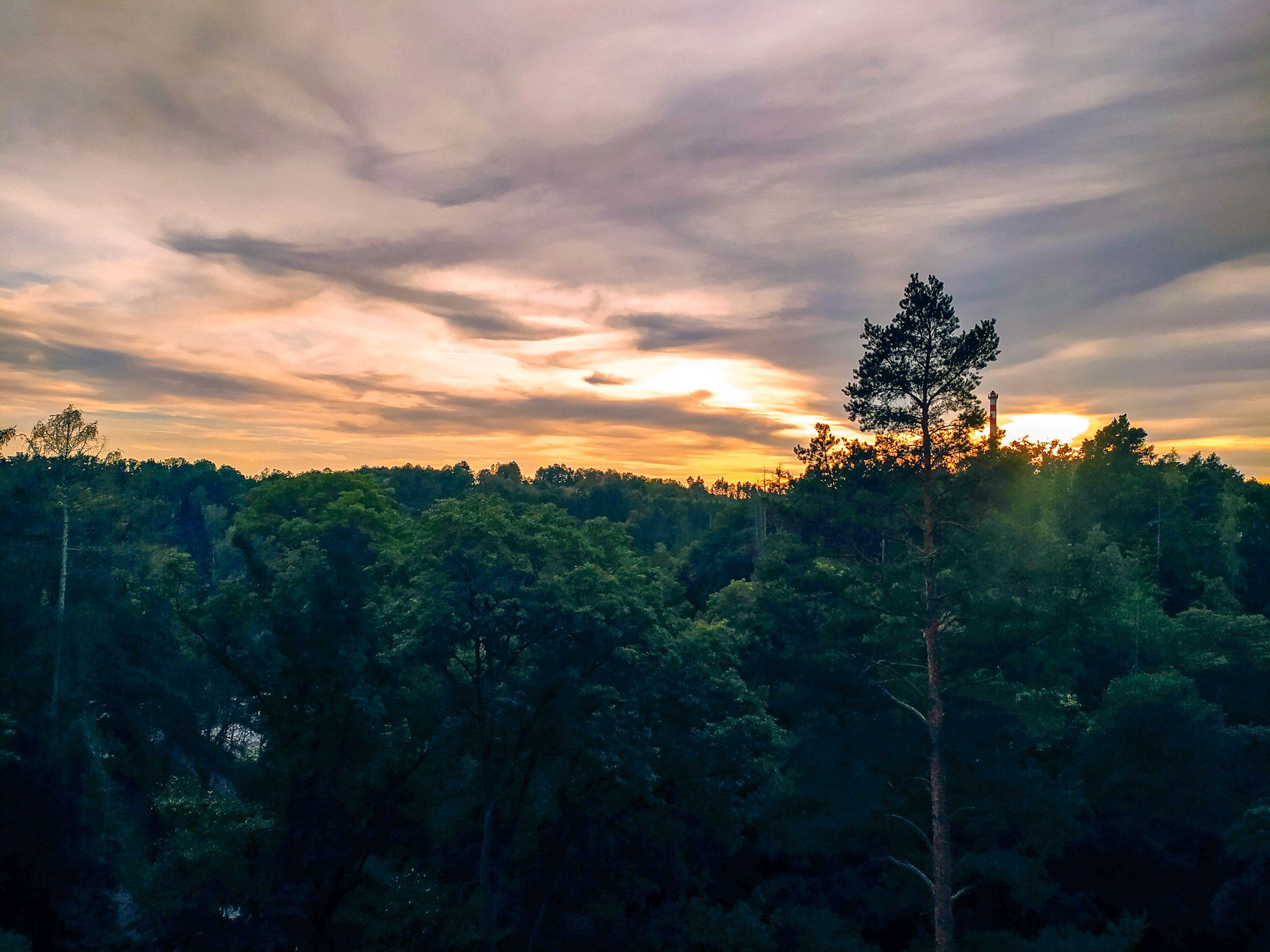 Sunset