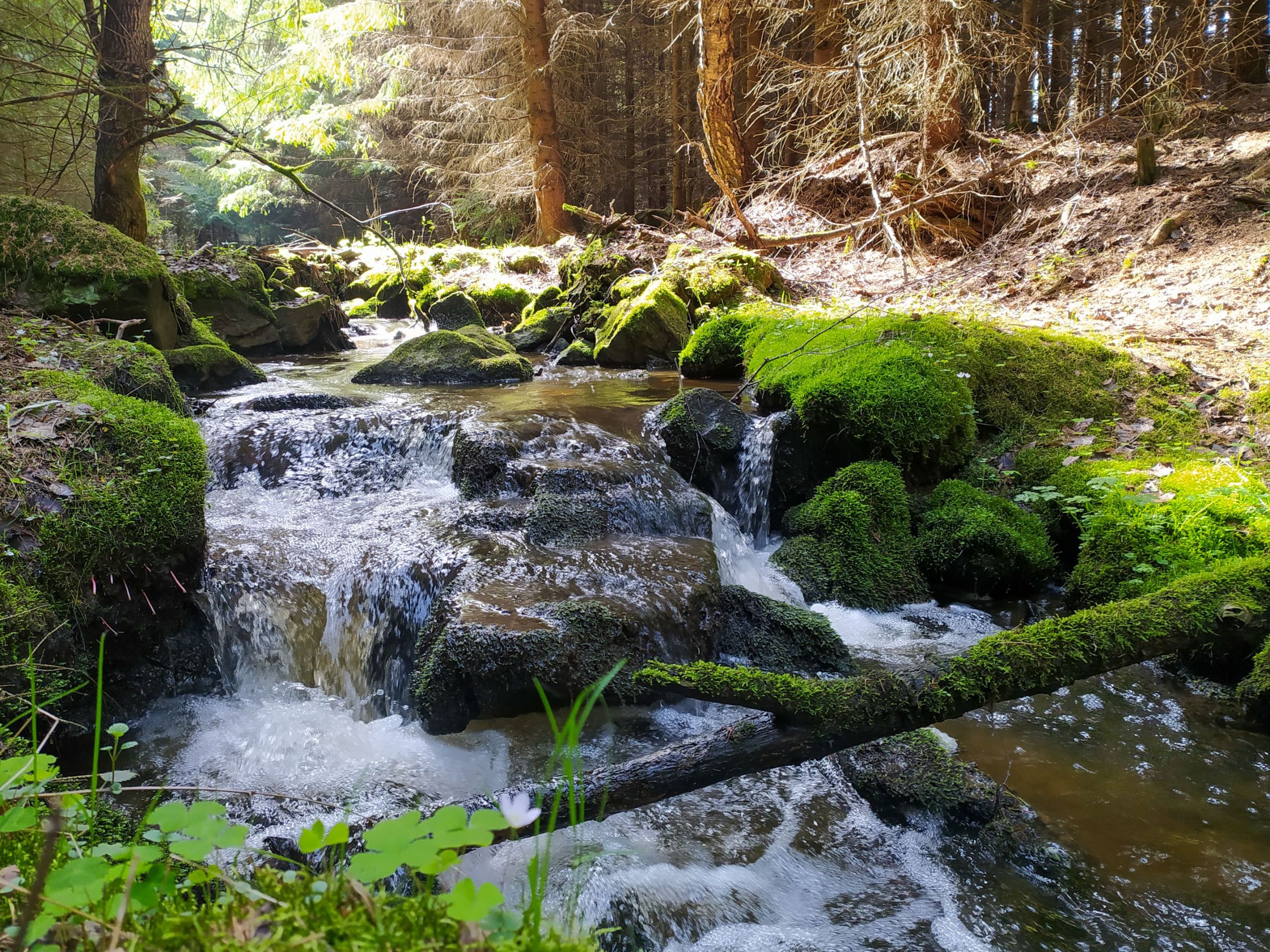 Czech nature?