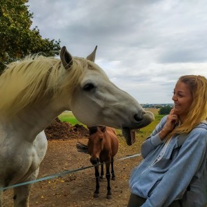 ... když se zamiluje kůň ?