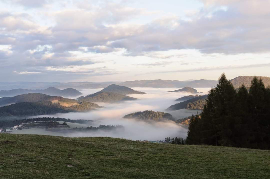 inbound8098701891489026141