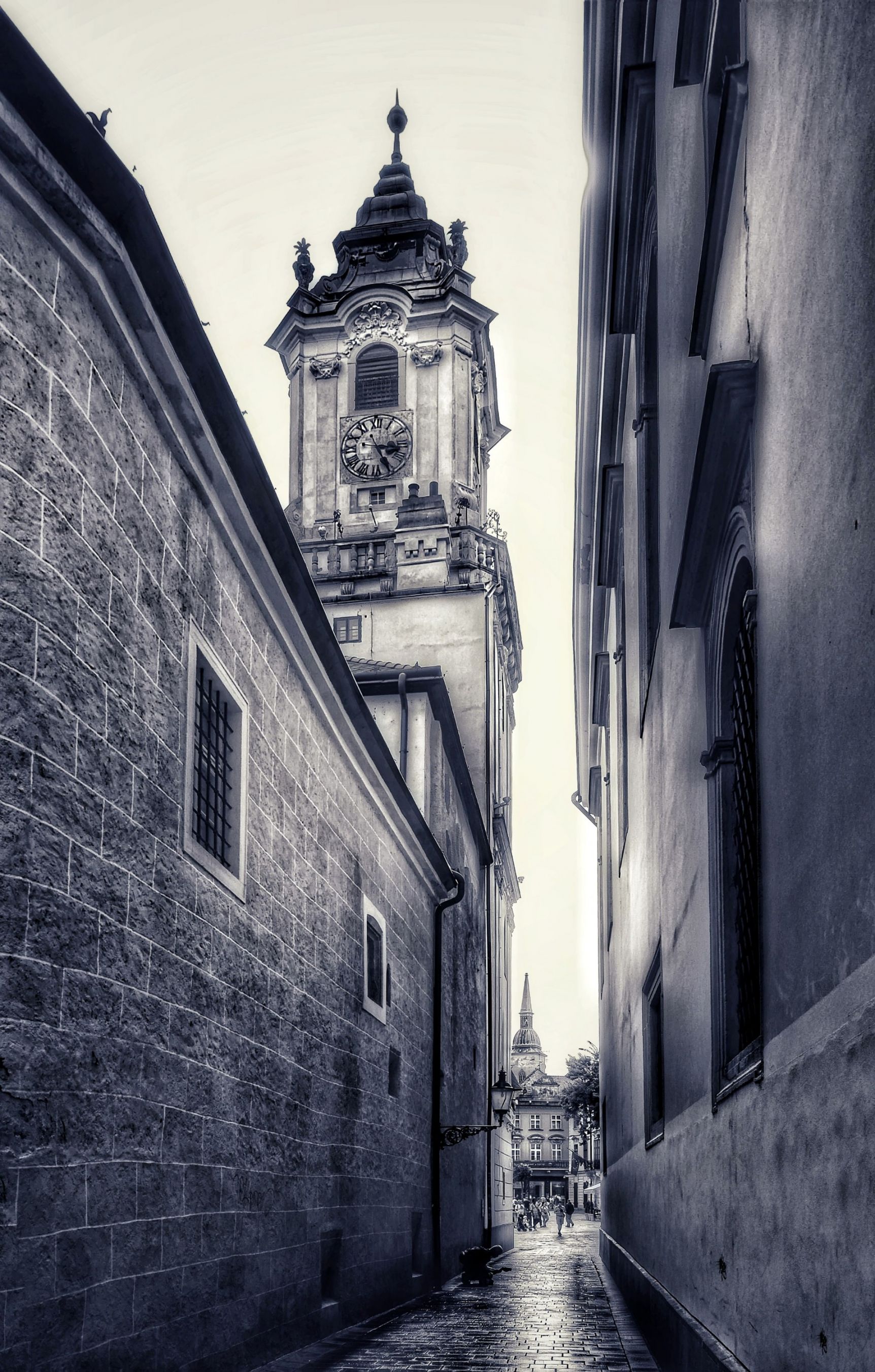 _SAM0872-01-01