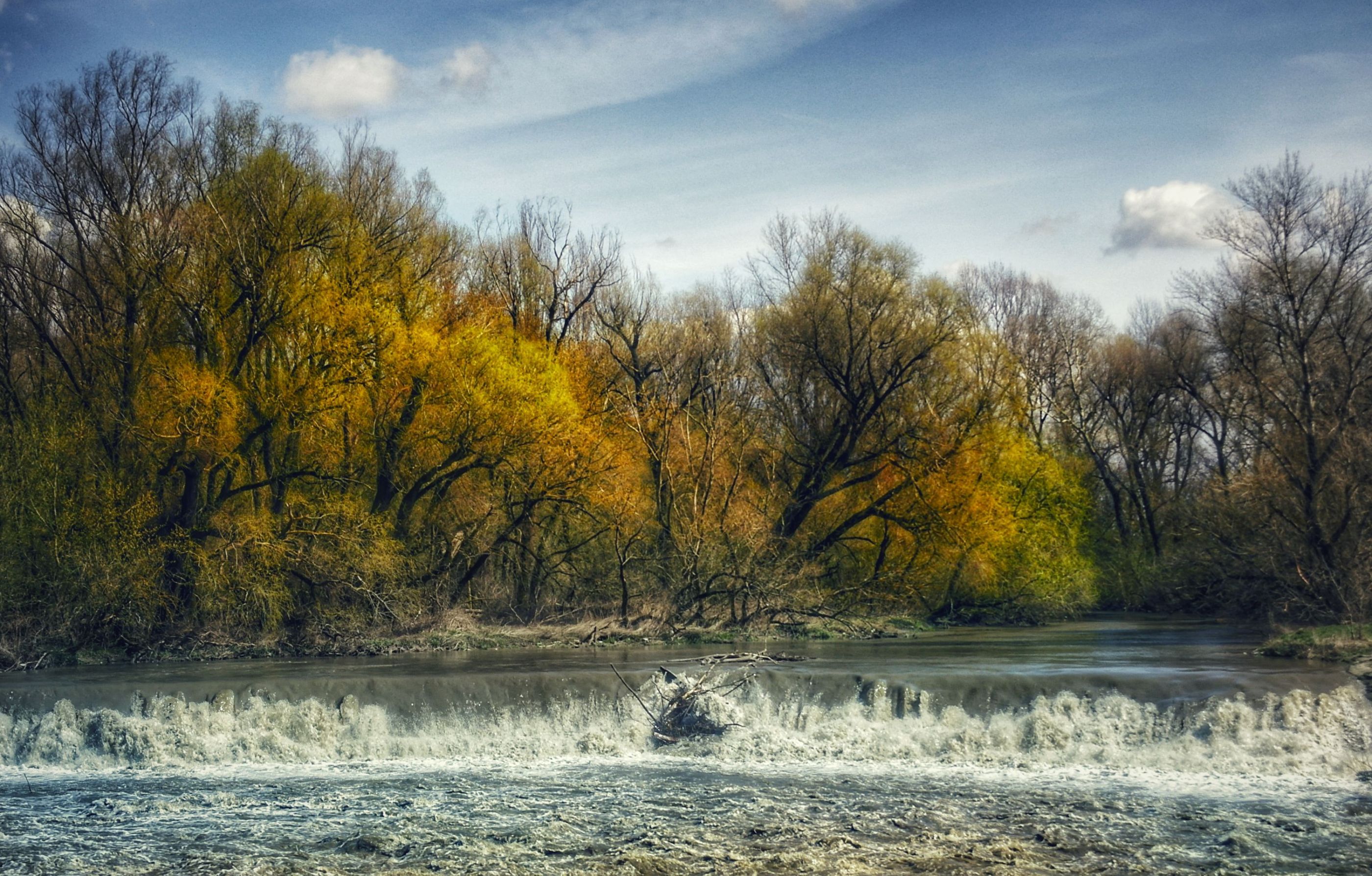 _SAM3711-01-01