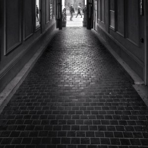 _SAM1441-01