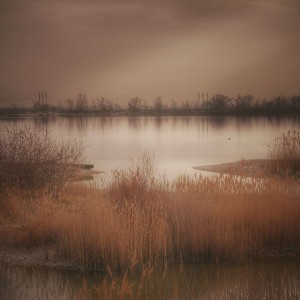SAM_0351-01