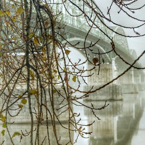 SAM_1269-02-01