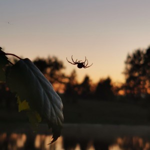 IMG_20210702_210326