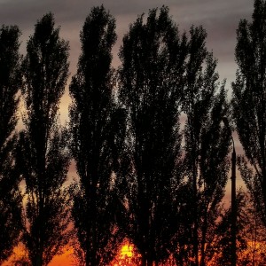 IMG_20210823_185625_edit_117522000918525