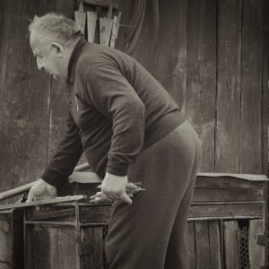 inbound6302703815439290428