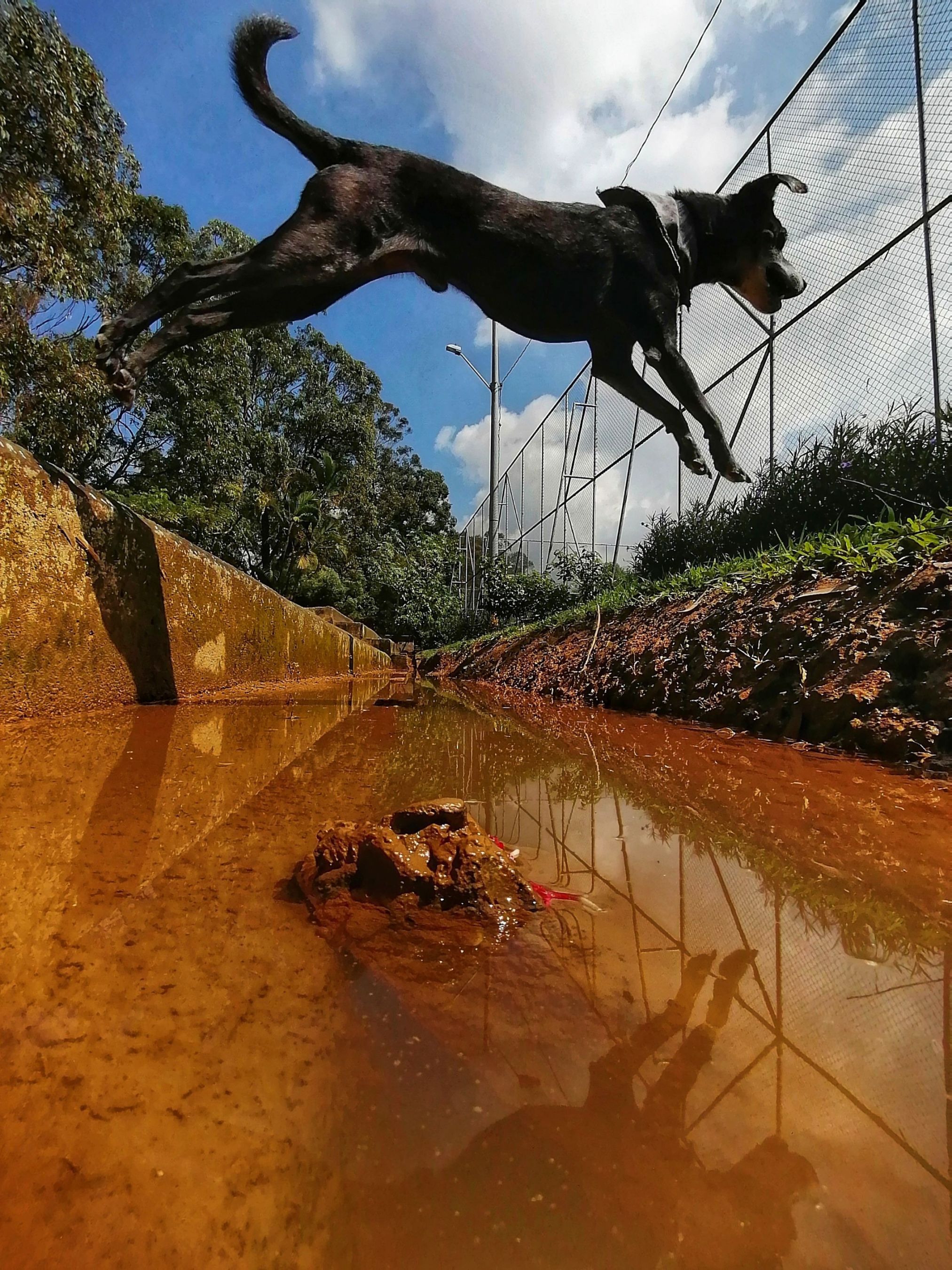 inbound1528218152643741887