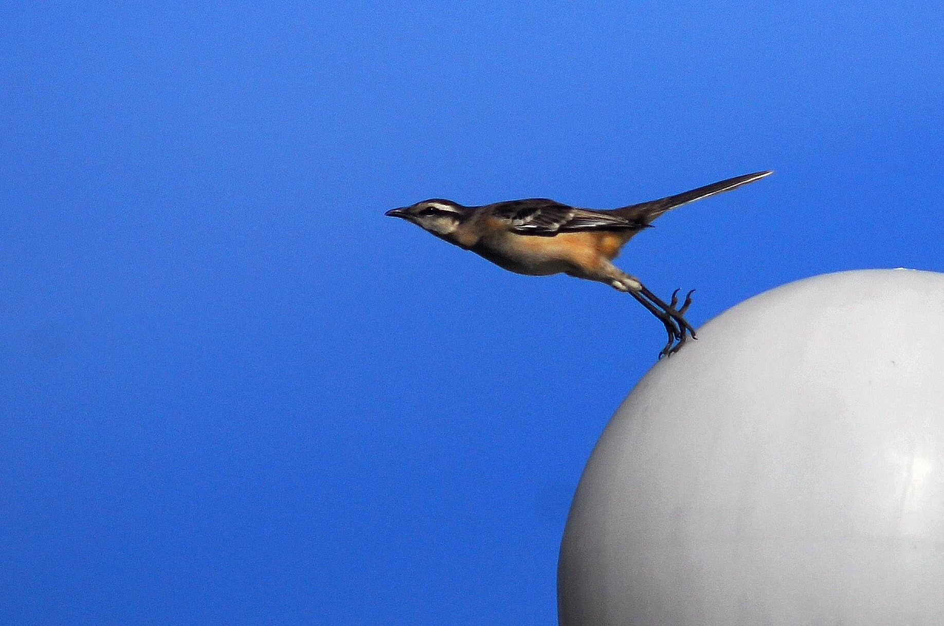 6E74E265-DD76-4109-BFA6-54DABD6342F6