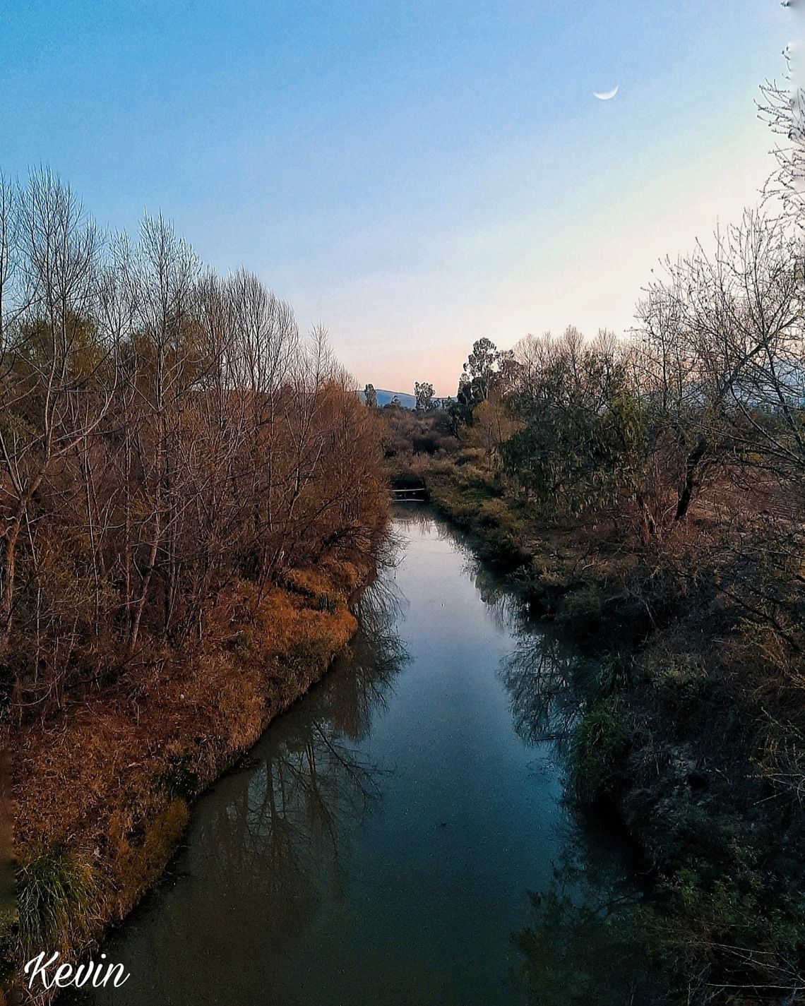 inbound9091889591436960216