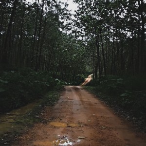 Un paisaje hermoso