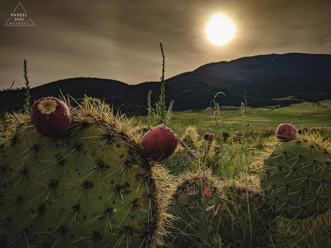 Cerro el potosí, San José de las joyas