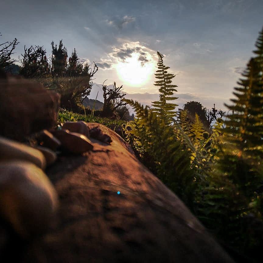 IMG_20201130_113432_266