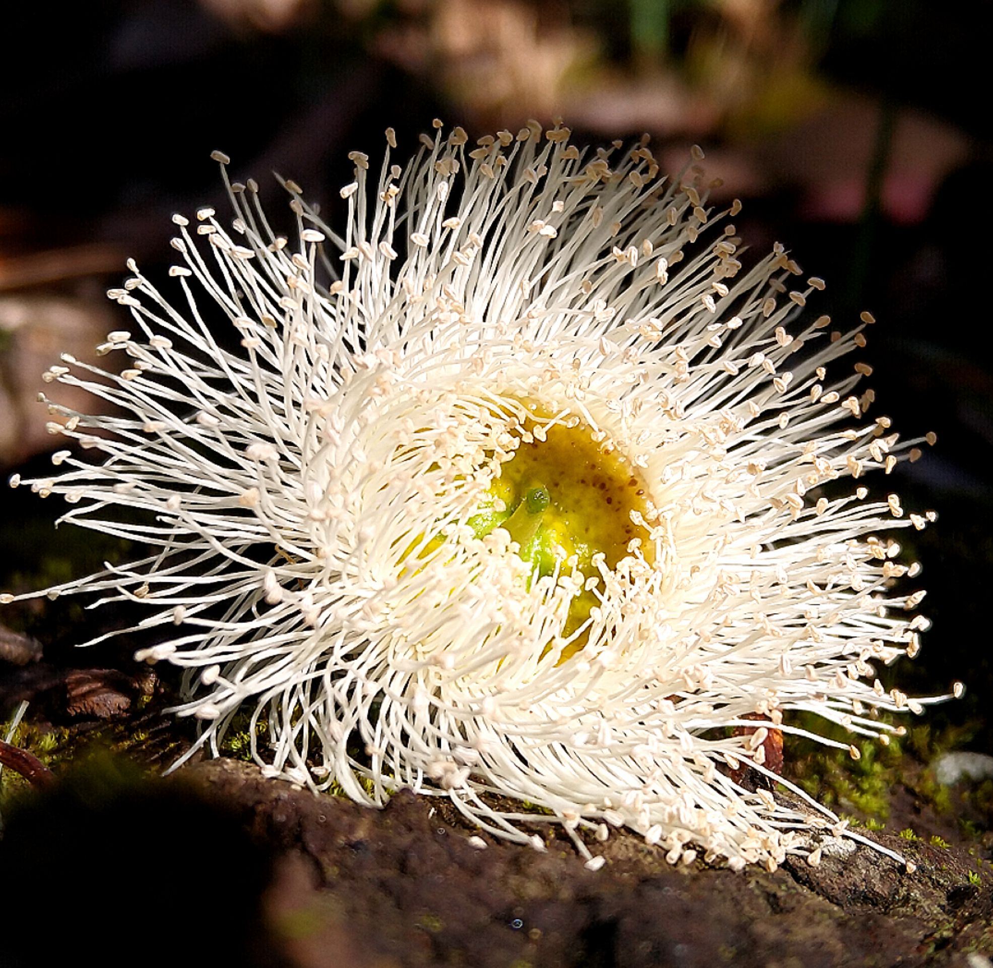 InShot_20210705_224932260