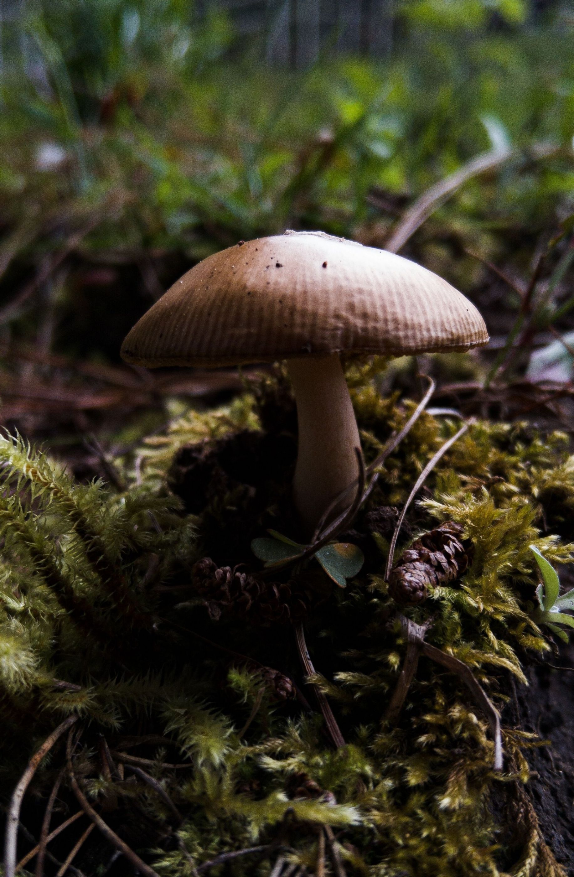 LRM_20210904_112800