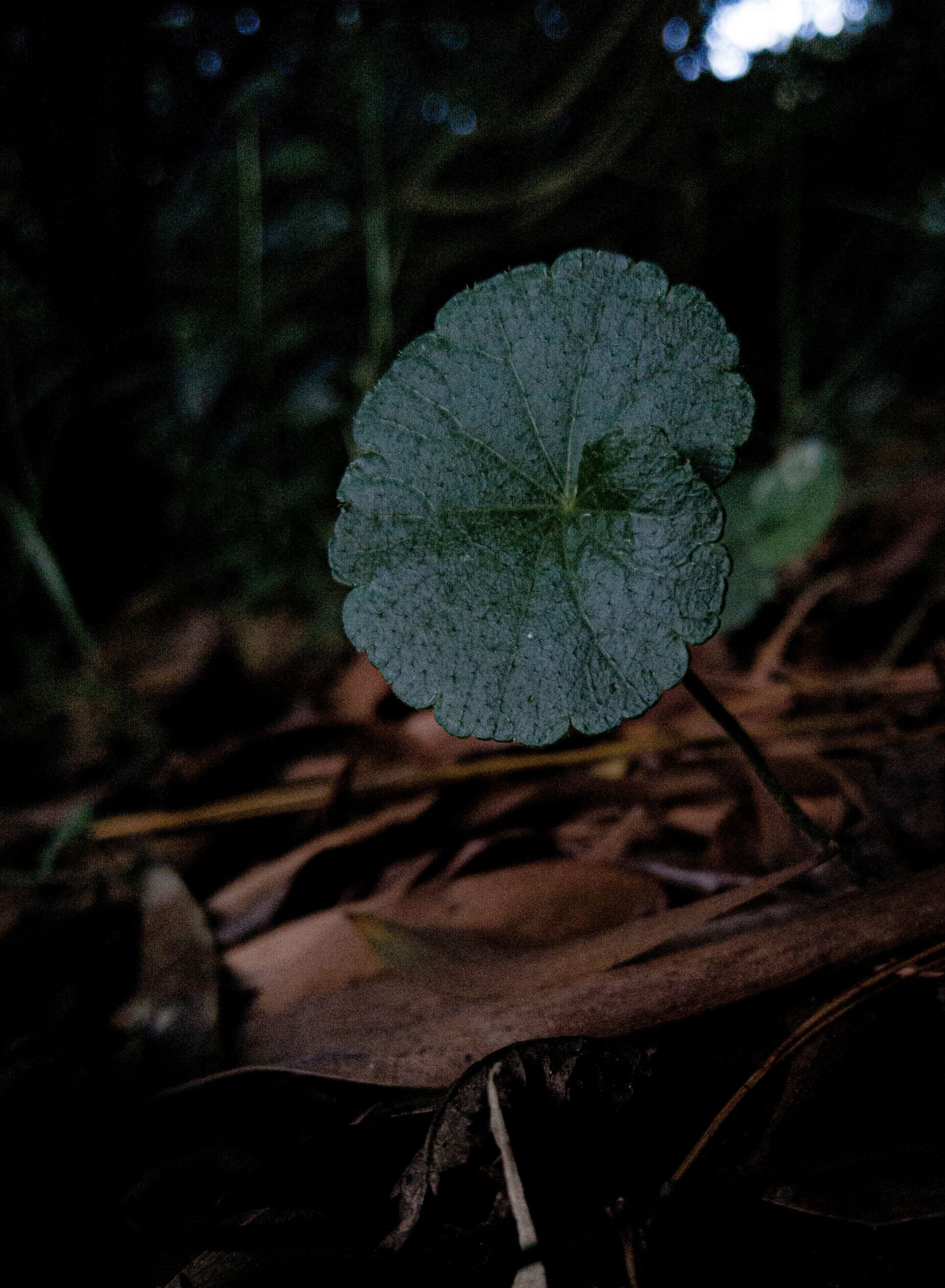 LRM_20210909_171708