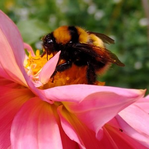 IMG_20200706_121531658