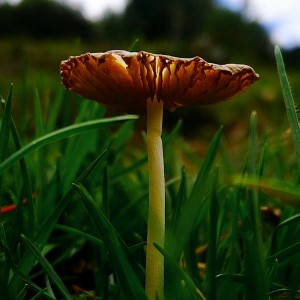 InShot_20210317_123004479