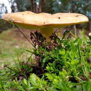 InShot_20210417_202115300