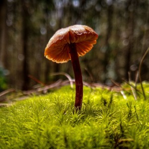 IMG_20210720_134225326_HDR