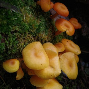 IMG_20210721_134943891