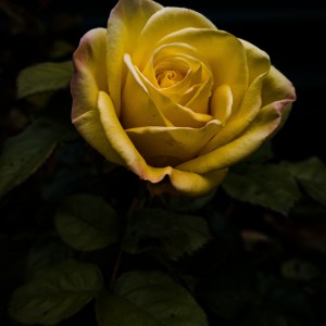 LRM_20211012_131116