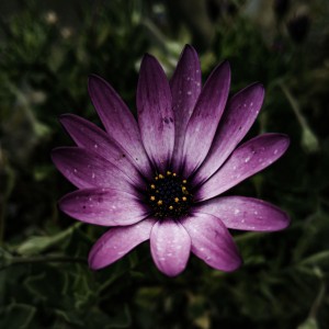 LRM_20211012_131212