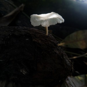 LRM_20211101_123918