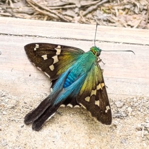 IMG_20251010_110541