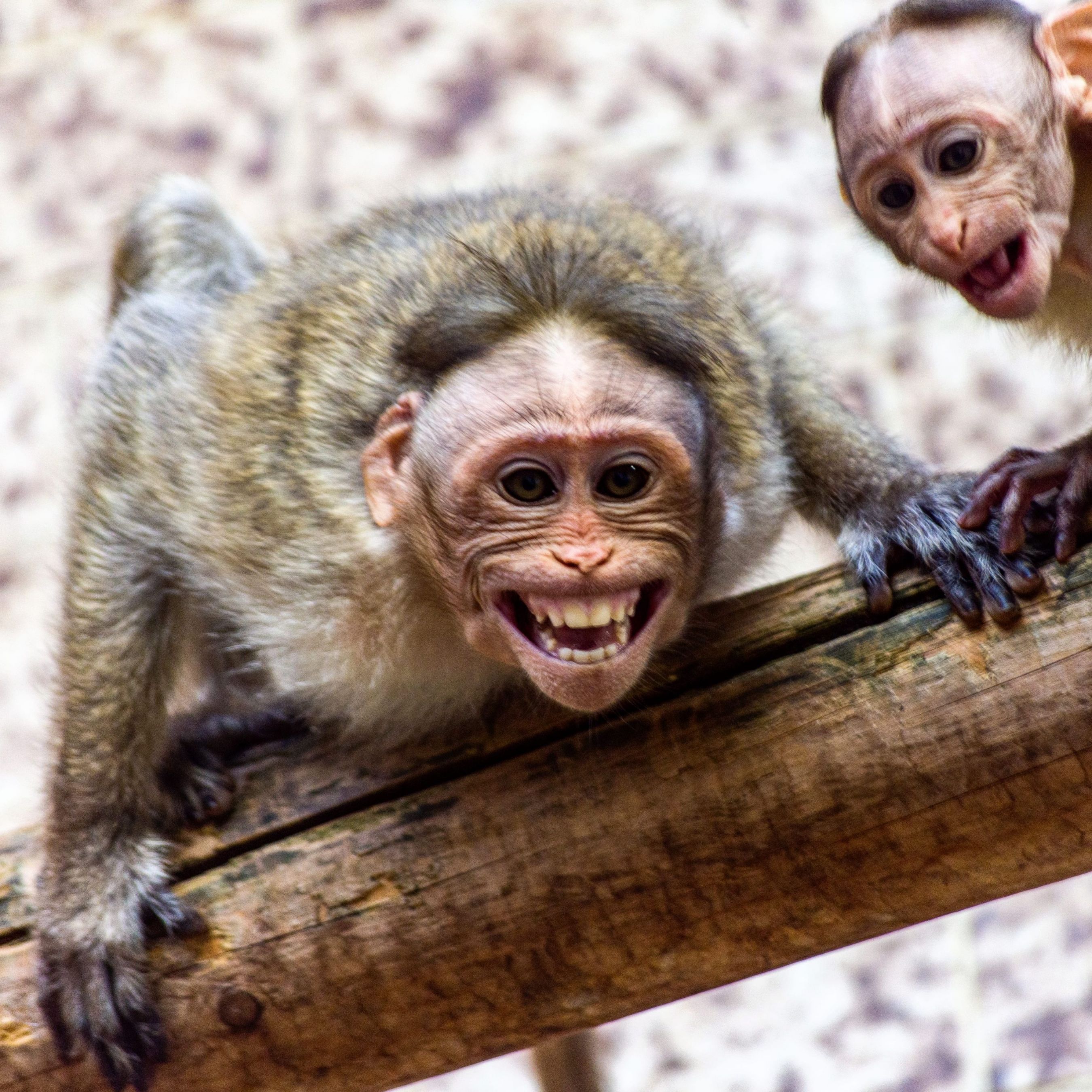 IMG_20200922_200553_449