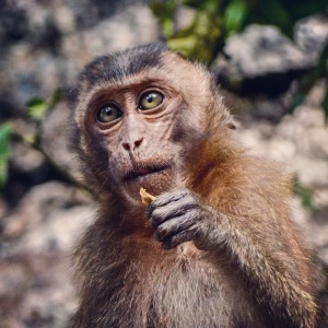 7B169D90-8C03-4F99-9C72-653BC1B8F3CB