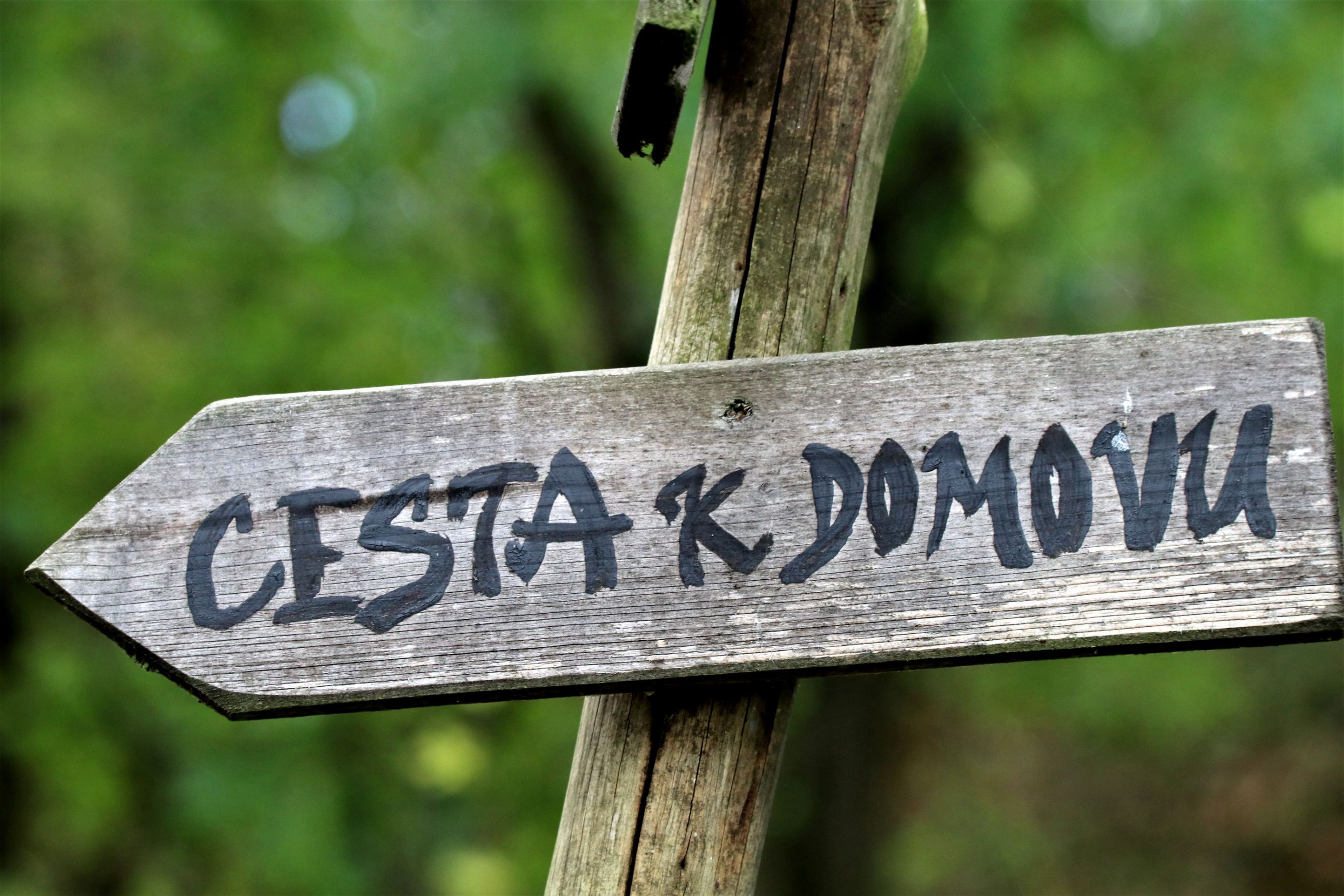 nezabloudím