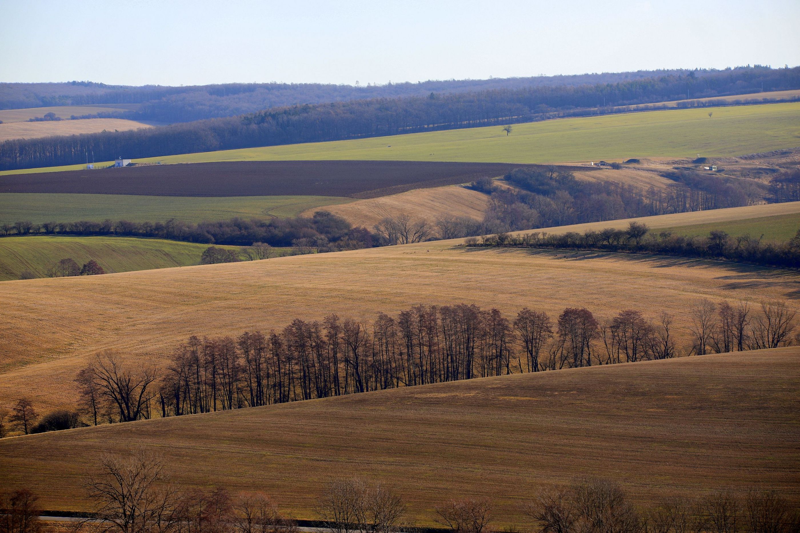 do hněda