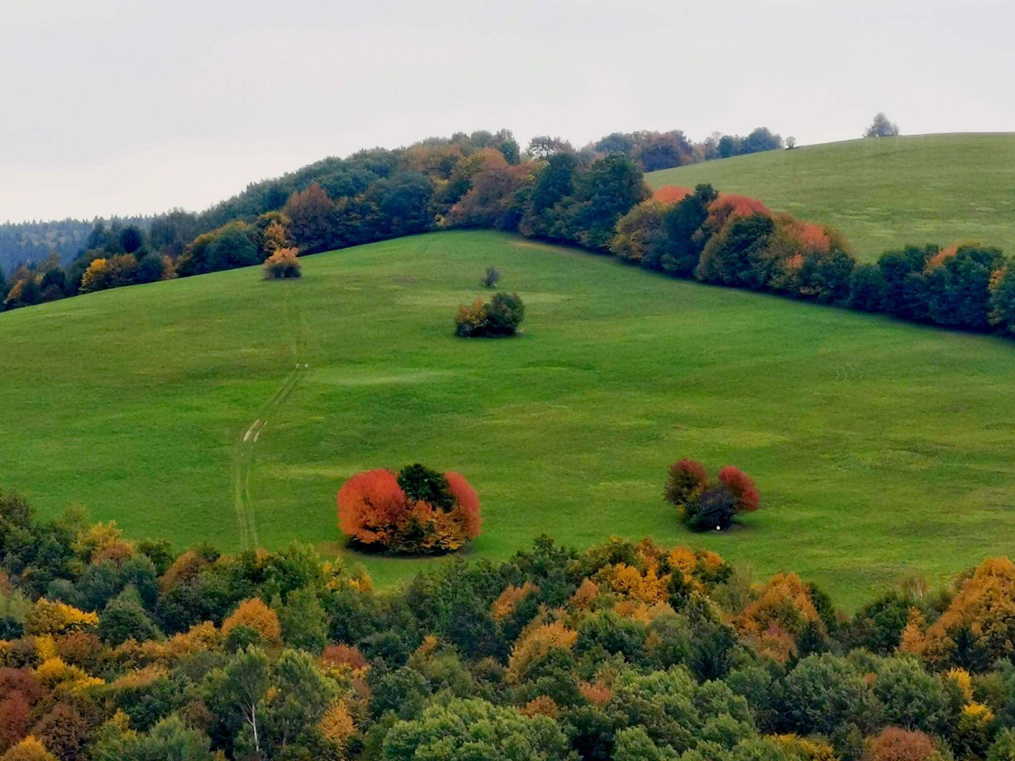 podzimní