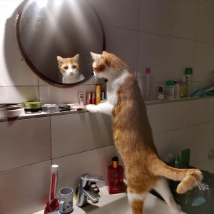 jsem nejkrásnější..