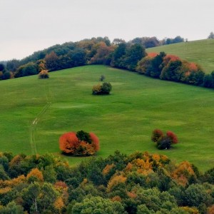 podzimní
