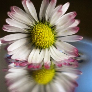 IMG_20210417_210716_006
