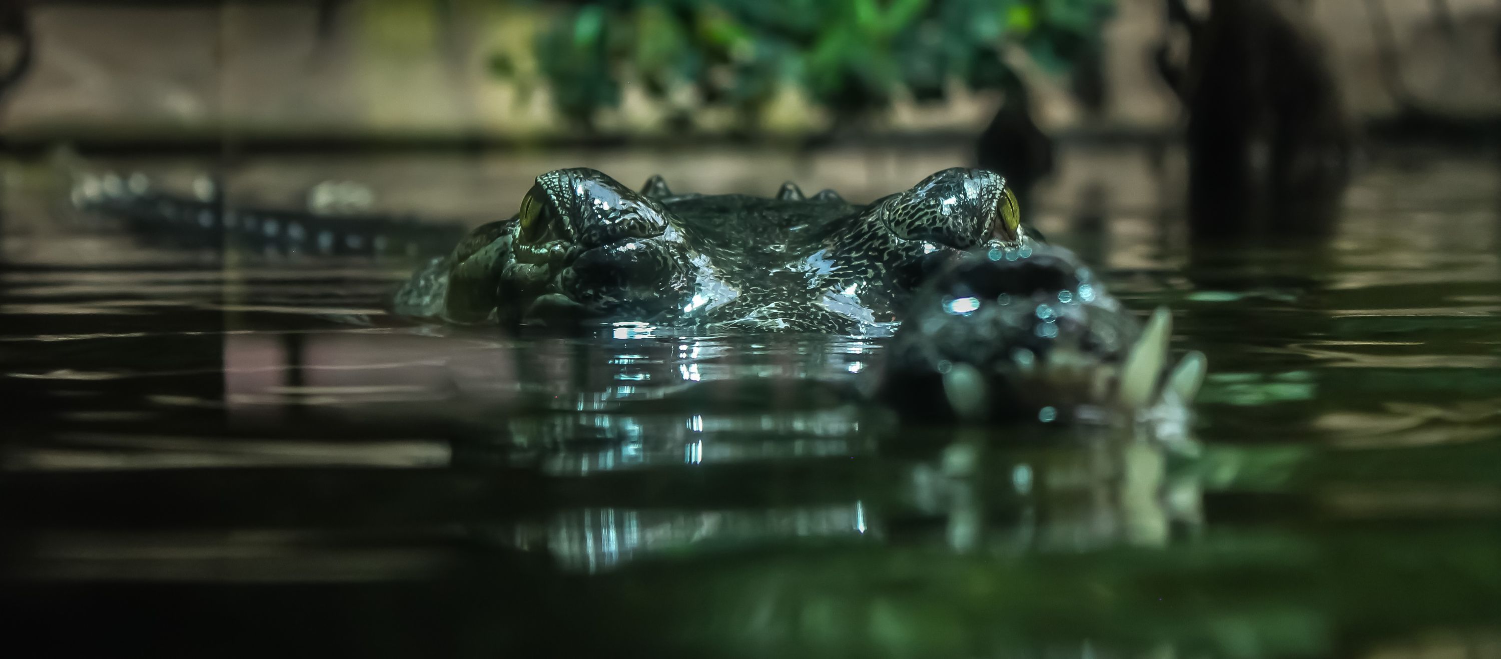 IMG_0188_edit