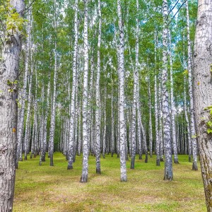 Nižní Novgorod, Rusko