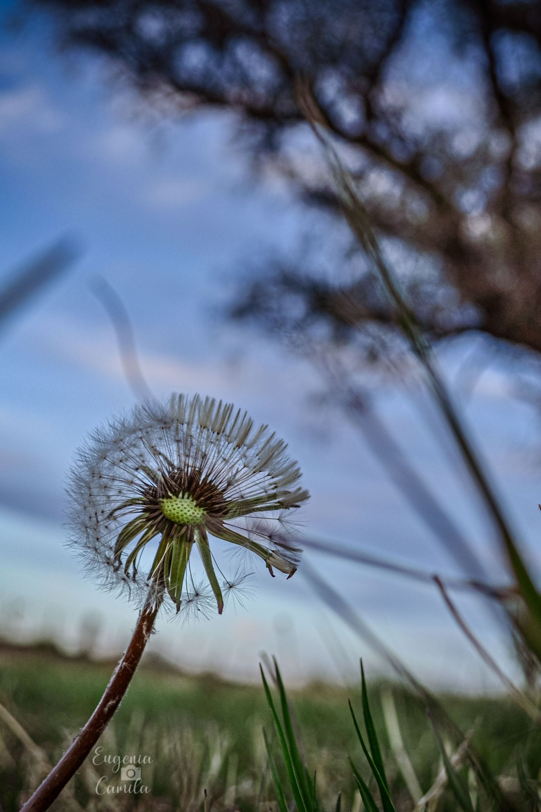 Photo_1605260718637