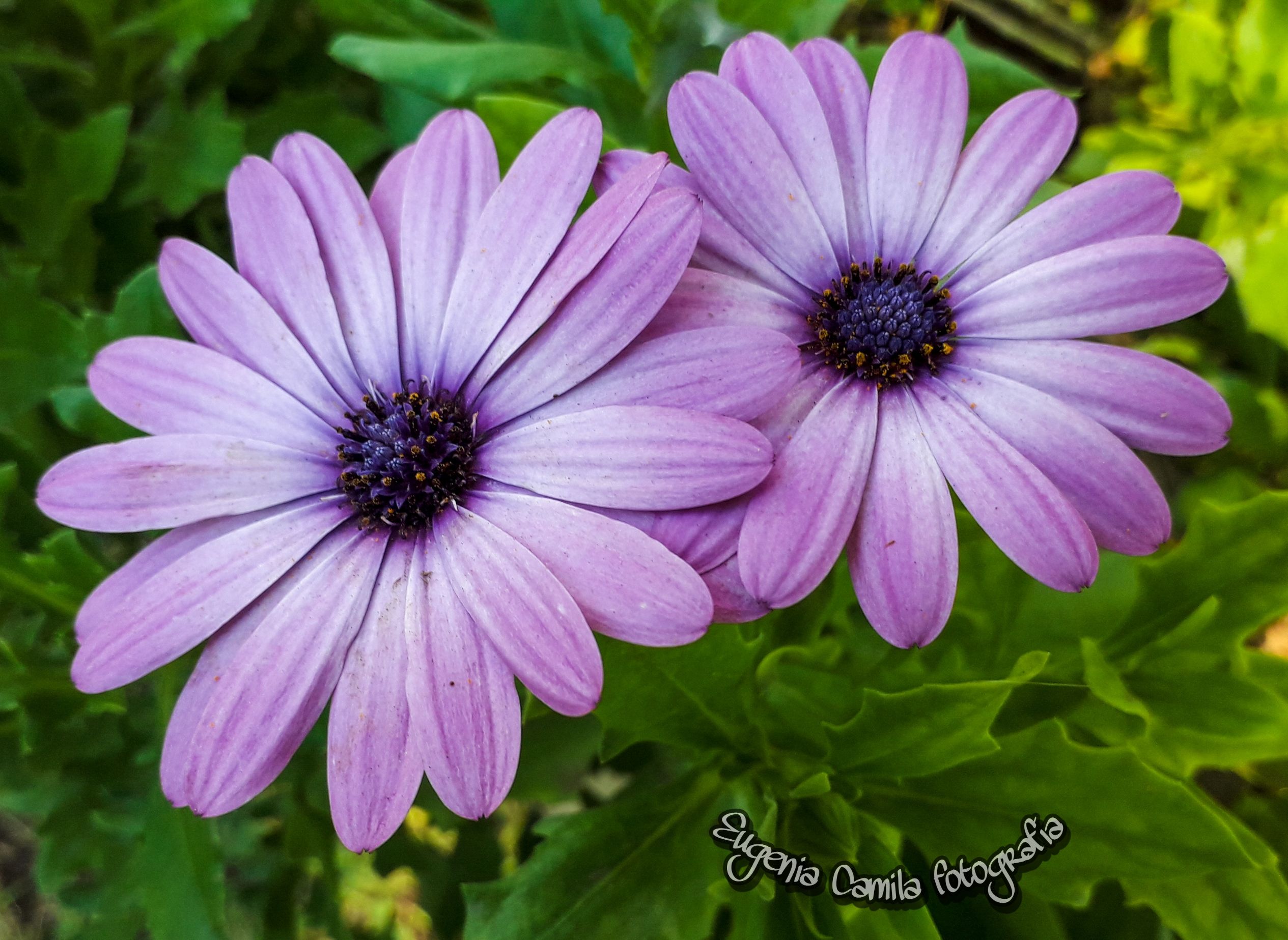 PicsArt_07-02-04.24.46