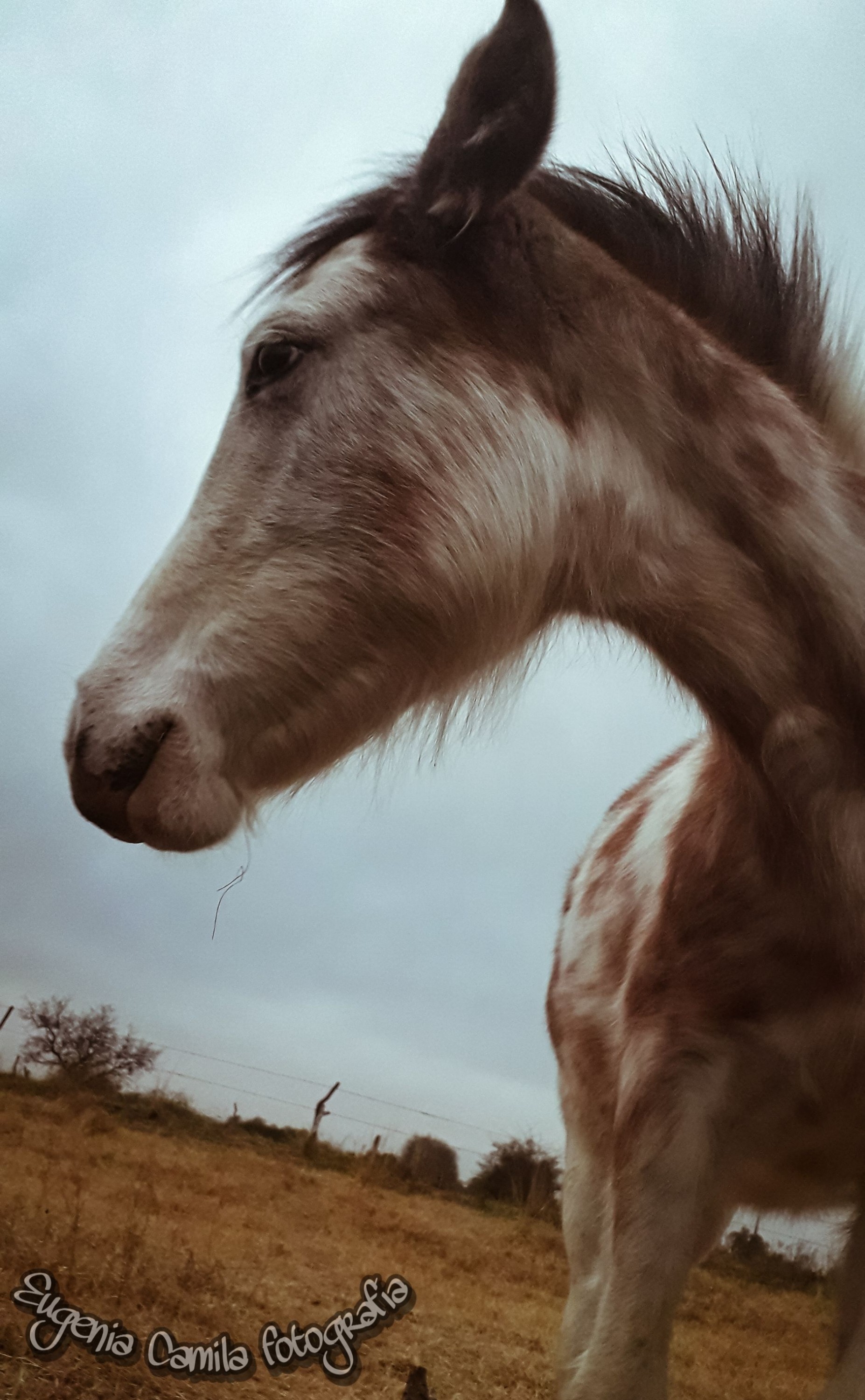 PicsArt_07-08-01.29.38