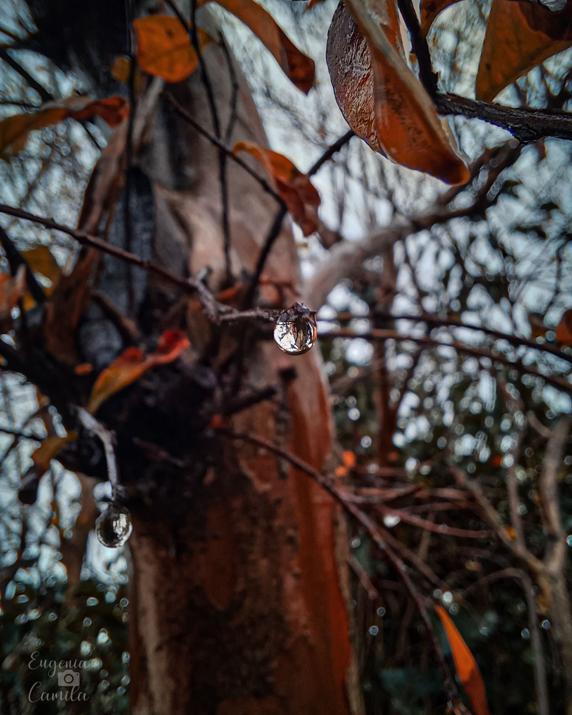 IMG_20210603_204442_455