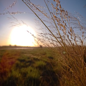 Photo_1610504113679