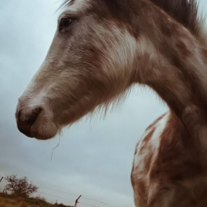 PicsArt_07-08-01.29.38