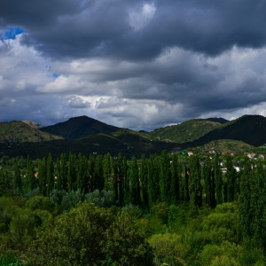 Photo_1613664390251