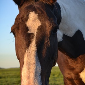 Photo_1604115709151